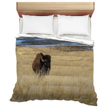 Bison On Antelope Island Bedding 64288600