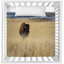 Bison On Antelope Island Nursery Decor 64288600