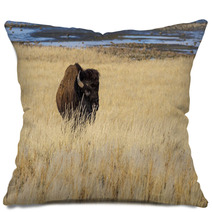 Bison On Antelope Island Pillows 64288600