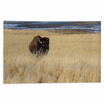 Bison On Antelope Island Rugs 64288600