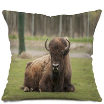Bison Pillows 52951981