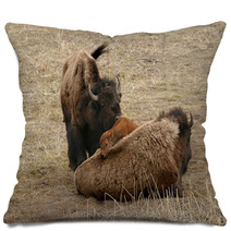 Bison Pillows 53639012