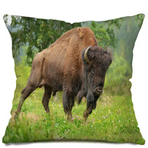 Bison Pillows 54376516