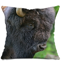Bison Pillows 54547875