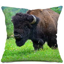 Bison Pillows 54547891