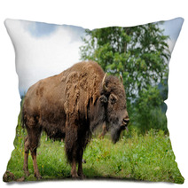 Bison Pillows 59167421