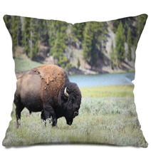 Bison Pillows 61579045