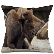 Bison Pillows 62575457