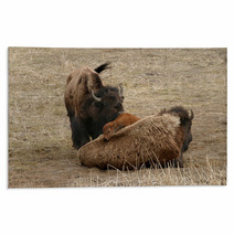 Bison Rugs 53639012