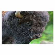 Bison Rugs 54547875