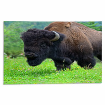 Bison Rugs 54547891