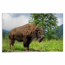 Bison Rugs 59167421