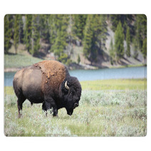 Bison Rugs 61579045