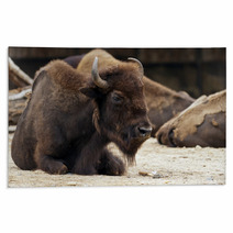 Bison Rugs 62575457