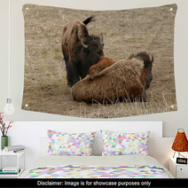 Bison Wall Art 53639012