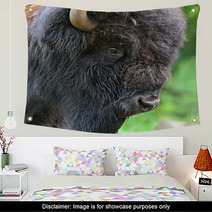 Bison Wall Art 54547875