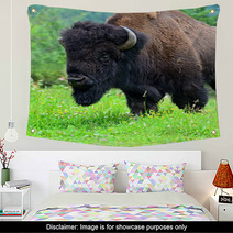Bison Wall Art 54547891