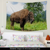 Bison Wall Art 59167421