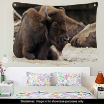 Bison Wall Art 62575457