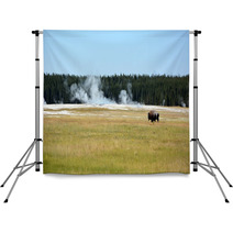 Bisons On The Yellowstone National Park Backdrops 56959717