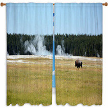 Bisons On The Yellowstone National Park Window Curtains 56959717