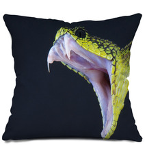 Biting Snake Pillows 63574148