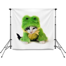 Black And White Kitten In A Green Frog Costume Backdrops 2233084