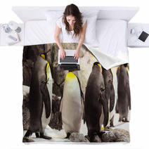 Black And White Penguin Blankets 61133757