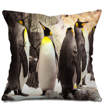 Black And White Penguin Pillows 61133757