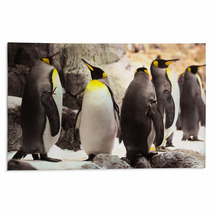 Black And White Penguin Rugs 61133757