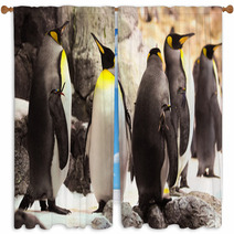 Black And White Penguin Window Curtains 61133757