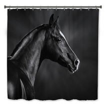 Black And White Portrait Of Arabian Stallion Bath Decor 46196337