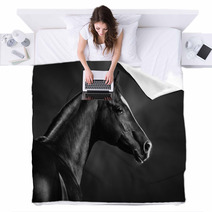 Black And White Portrait Of Arabian Stallion Blankets 46196337