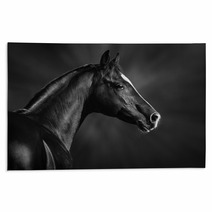Black And White Portrait Of Arabian Stallion Rugs 46196337