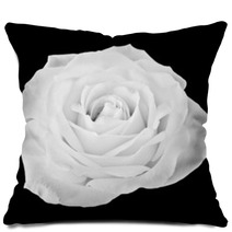 Black And White Rose Pillows 60269033