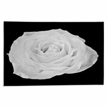 Black And White Rose Rugs 60269033