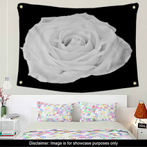 Black And White Rose Wall Art 60269033