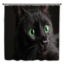 Black Cat On Black Background Bath Decor 52242668