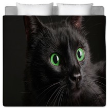 Black Cat On Black Background Bedding 52242668