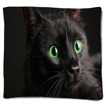 Black Cat On Black Background Blankets 52242668