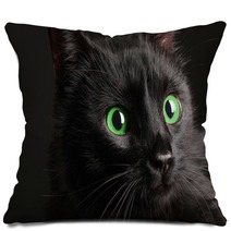 Black Cat On Black Background Pillows 52242668