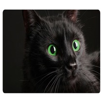 Black Cat On Black Background Rugs 52242668