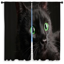 Black Cat On Black Background Window Curtains 52242668