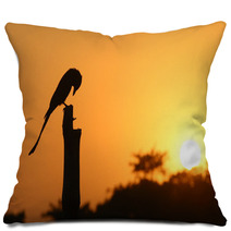 Black Drongo At Sunset Pillows 63744729
