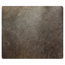 Black Fur Rugs 137163915