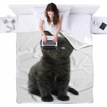 Black Kitten Blankets 66912006