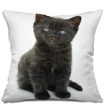 Black Kitten Pillows 66912006