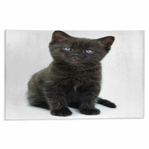 Black Kitten Rugs 66912006