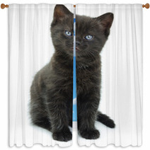 Black Kitten Window Curtains 66912006