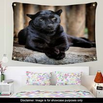 Black Leopard Wall Art 45427416